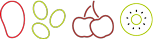 fruit icon mango cherries kiwi